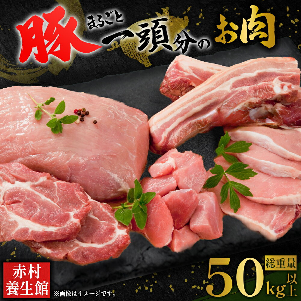 【ふるさと納税】【事業者支援返礼品】赤村産 養生 豚 丸ごと 1頭分 お肉（ 総重量 50kg 以上 ） 国産 豚肉 肉 養生館 旨味 福岡県 福岡 赤村 B25