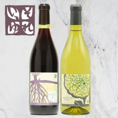 ふるさと納税 山梨市 旭洋酒　ルージュ クサカベンヌ/グルペット ブラン　720ml×2本セット