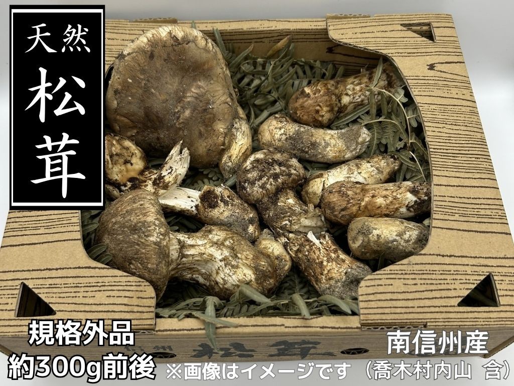 
                  8-F20　松茸 規格外品 約300g前後
                