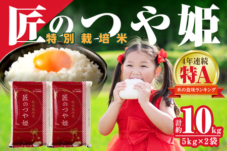 【令和7年産】特別栽培米「匠のつや姫」5kg×2袋 米 お米 つや姫 つやひめ 10キロ 2袋 お取り寄せ 人気 特A 【058_1861】