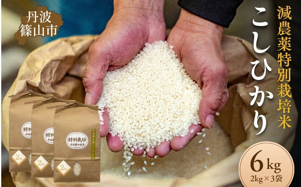 
                  【令和7年産】丹波篠山市 コシヒカリ 特別栽培米 低農薬 2kg×3袋 計6kg 多紀連山の清らかな湧き水育ち 低温精米 高品質 安心安全 お米 こめ コメ
                