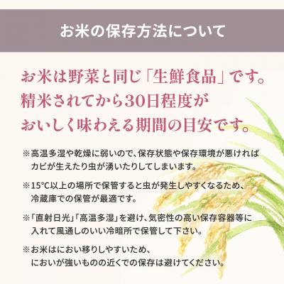 ふるさと納税 境町 【新米/白米】 ミルキークイーン 令和7年産 9kg (3kg×3袋) 茨城県産 小分け 人気 |  | 03