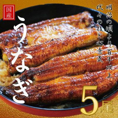
                  鰻の老舗　千葉県いすみ市藤井のうなぎ白焼き(5匹)【1391284】
                