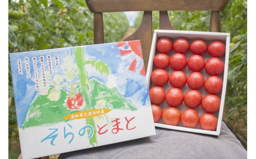 
                  0112701 そらのとまと１kg
                