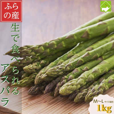 
                  2027年先行予約　「生」で食べられる!北海道富良野産 グリーンアスパラ 1kg(M～Lサイズ混合)【1624024】
                