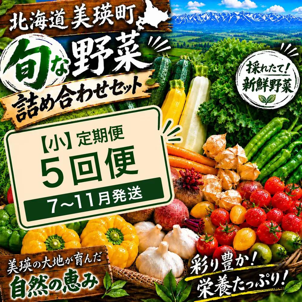 季節の野菜セット【小】定期便 5回便 7月 8月 9月 10月 11月発送 旬野菜 詰め合わせ あらいふぁーむ