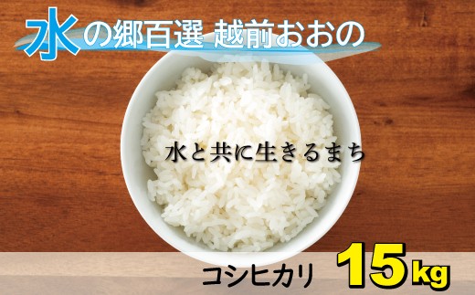 
                  【令和7年産】こしひかり（福井県大野市産）エコファーマー米（白米）15kg（5kg×3袋）
                