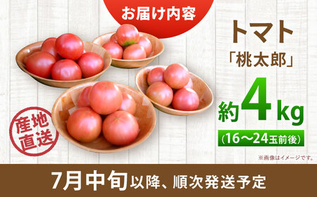 【2026年7月中旬以降順次発送】 トマト 4kg | 野菜 トマト とまと やさい 北海道 産地直送 | 道の駅 真狩フラワーセンター[BPAM078]