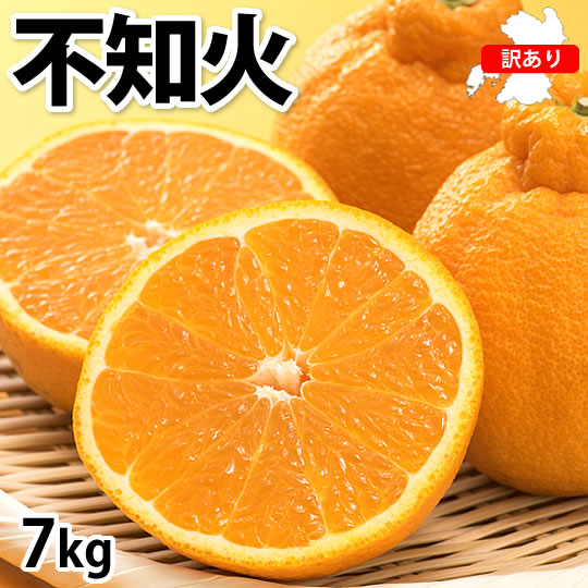 【ふるさと納税】 先行予約 訳あり 不知火 約7kg 【2027年1月中旬から2027年4月下旬発送予定】デコポンと同品種 しらぬい 柑橘 熊本県 宇城市 送料無料 株式会社Foody’