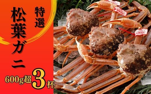 
            特撰 松葉がに 【タグ付き】 600g超の大きいサイズ 食べ応えあり 3杯 活物 松葉ガニ カニ ズワイガニ カニ爪 冷蔵 かにしゃぶ カニ刺身
          