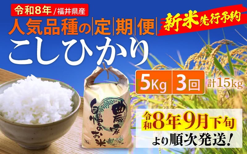 
                  【令和8年産新米・先行予約】定期便 ≪3ヶ月連続お届け≫ こしひかり 5kg × 3回（計15kg）令和8年 【令和8年9月下旬より順次発送】 福井県産 人気品種の定期便！【玄米 対応可】 [e35-d001]
                