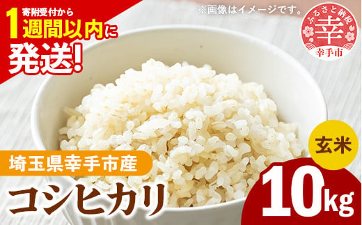 【新米発送】令和6年産 幸手市産 コシヒカリ 玄米10kg 色彩選別済 Brown Rice - お米 米 こしひかり 玄米 10kg 埼玉県 幸手市