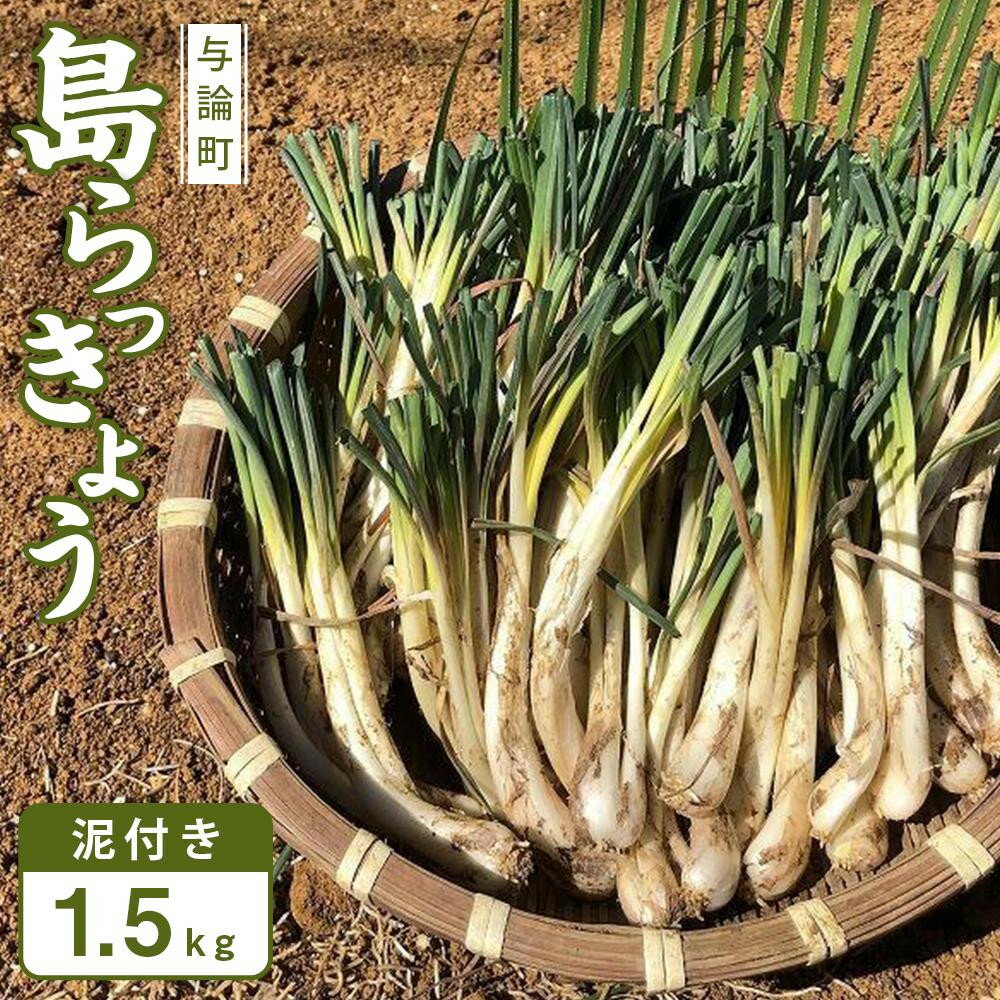 【ふるさと納税】【令和8年3月頃発送】島らっきょう1.5kg(泥付き）