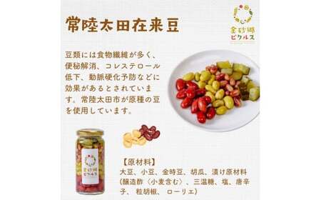 金砂郷ピクルス 3本セット（化粧箱入り） | ピクルス ピクルス ピクルス ピクルス ピクルス