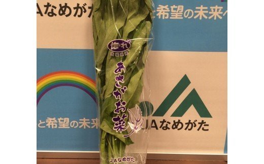 JAなめがたしおさい あさがお菜(クウシンサイ) 20袋入｜あさがお菜 クウシンサイ 野菜 サラダ 数量限定 茨城県 行方市(AE-33)