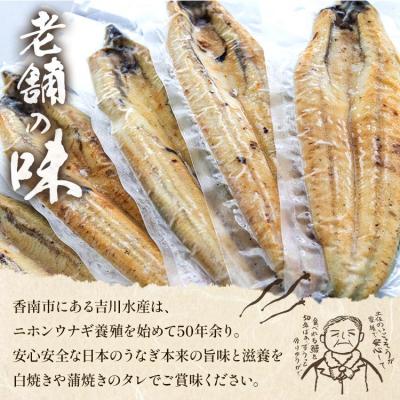 ふるさと納税 香南市 【3カ月定期便】高知県産鰻の白焼き130〜150g×3尾 合計9尾 エコ包装 Wyw-0072 |  | 01