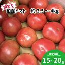 【ふるさと納税】おすすめ 訳あり 柏市産 トマト 3.5kg～4kg 15～20個程度 おいしい サラダ イタリアン トマトジュース たっぷり 柏市場