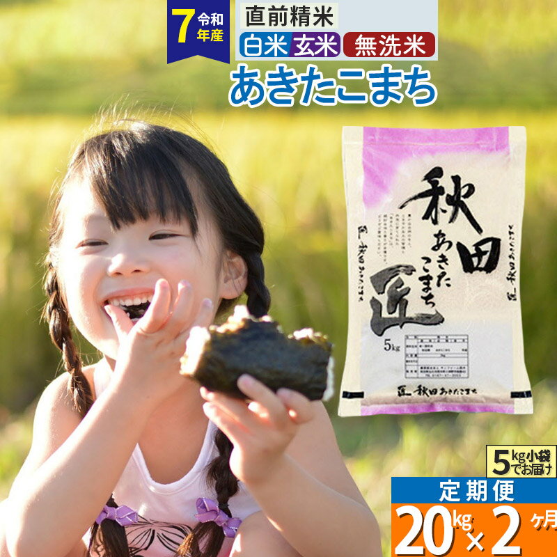 【ふるさと納税】【白米／玄米／無洗米】※R7※《定期便2ヶ月》秋田県産 あきたこまち 20kg (5kg×4袋)×2回 令和7年産 お米 匠