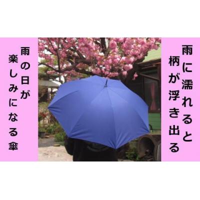ふるさと納税 栃木市 とち介の雨日和〜雨の日が楽しみになる傘〜(長傘) |  | 01