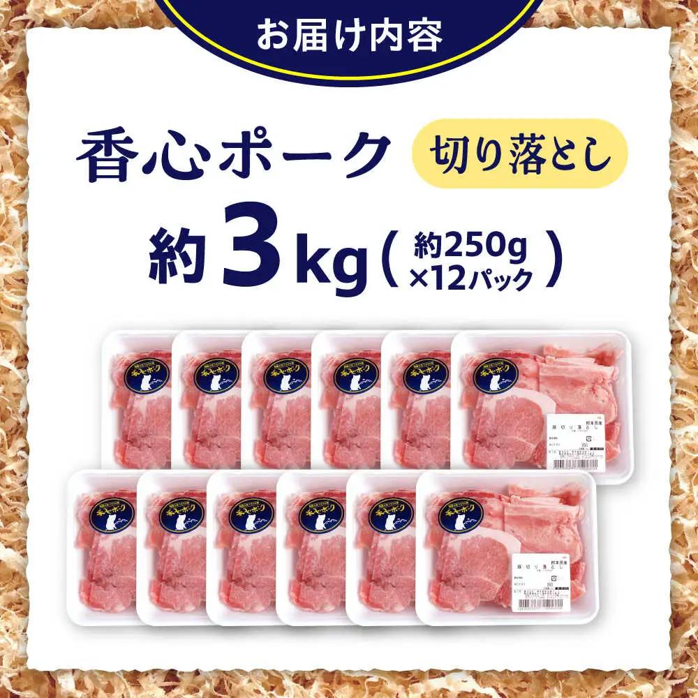 『香心ポーク』切り落とし 約250g×12パック 豚肉切り落とし[AYCK019]