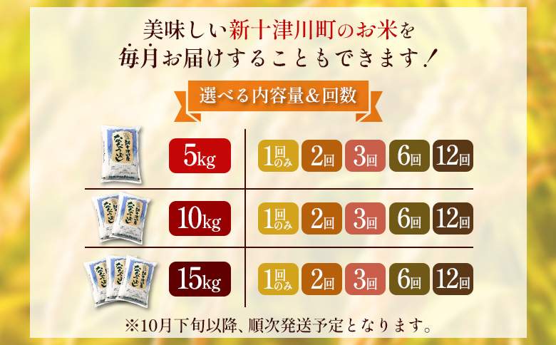 【令和8年度産】 食味ランキング「特A」ななつぼし精米定期便 (10kg×2回)【11023】