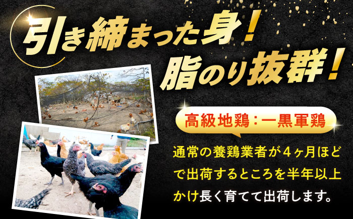 【全12回定期便】【冷凍】 肉 小分け 冷凍 お肉 うまさが違う！ せとうち育ちの江田島産地鶏 一黒シャモ 一羽 パック 合計約1kg 鶏肉 肉 お肉 にく おにく グルメ ギフト 取り寄せ プレゼン