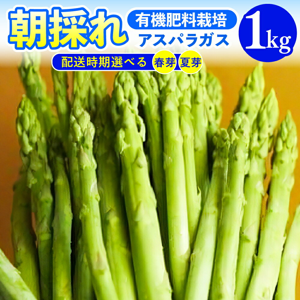 【ふるさと納税】【先行予約 令和7年産】アスパラガス 1kg 1箱 朝採り (配送時期が選べる：春芽 5月中旬～6月中旬／ 夏芽 8月中下旬～9月下旬) 有機肥料栽培 採りたて 新鮮 農家直送 アスパラ あすぱら 野菜 春野菜 甘い お取り寄せ 山形県 米沢市 産地直送 春 旬 今が旬