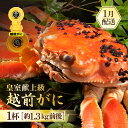 【ふるさと納税】≪浜茹で≫越前がに 超特 皇室献上級 1杯（約1.3kg前後）大人約2人前 食べ応え充分【雄 ズワイガニ かに カニ 蟹 越前ガニ 姿 ボイル 冷蔵 福井県】【1月発送分】希望日指定可 備考欄に希望日をご記入ください [e65-x005_01]