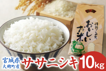 [宮城県大郷町産] 令和7年産 ササニシキ 10kg 精米 [0300]