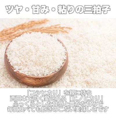 ふるさと納税 愛南町 先行受付 新米 ヒノヒカリ 5kg 令和7年産 精米 米 愛媛県 愛南町 愛なんよ |  | 01