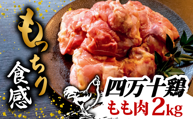 銘柄鶏 四万十鶏 もも肉 2kg | 切身 カットでかんたん時短セット カット済み 鳥肉 とりにく 鶏もも 冷蔵 国産 ブランド 唐揚げ 煮物 鍋 チキン 南蛮 高知県 須崎市 TM018_x