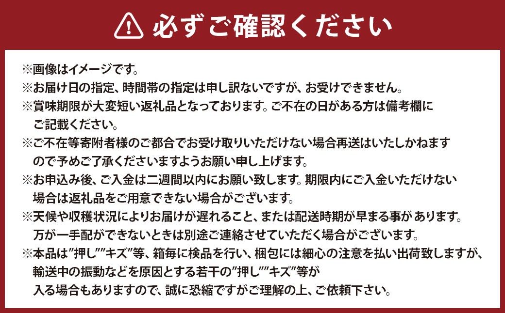 ニューピオーネ2房化粧箱入り
