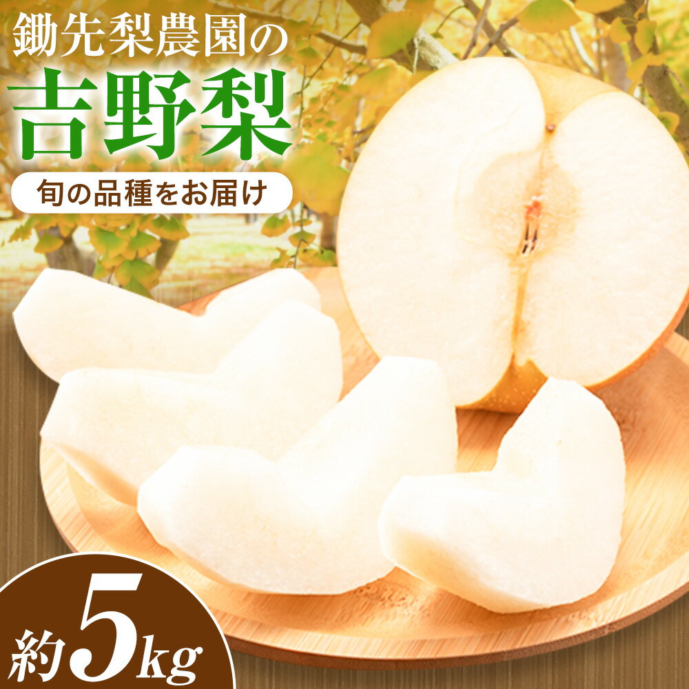 【ふるさと納税】秋 旬 梨 フルーツ 鋤先梨農園の梨 約5kg 豊水 あきづき 新高 新興 甘太 鋤先梨農園《8月下旬-10月中旬頃出荷》熊本県 氷川町 熊本県氷川町産 なし ナシ 旬の梨 果物 くだもの スイーツ