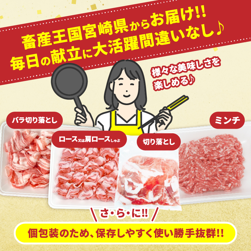 宮崎県産 豚肉 4種 セット (合計3.8kg) 国産 食品 豚バラ 切り落とし ロース 肩ロース ミンチ しゃぶしゃぶ 豚丼 ハンバーグ 餃子 ミートソース 個包装 小分け おすすめ_DA47-25