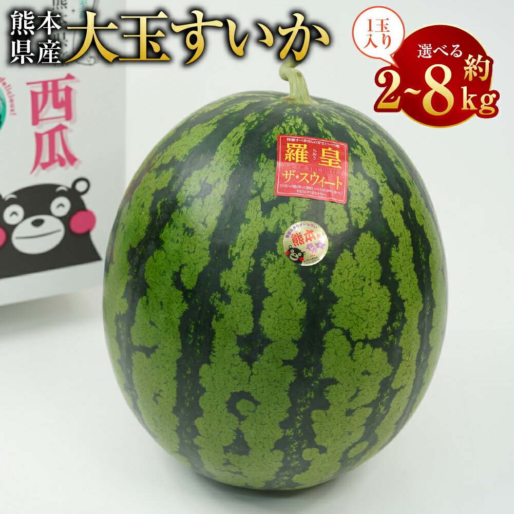 【ふるさと納税】＜選べるサイズ＞大玉すいか 約2kg（1玉入り S以上） / 約5kg（1玉入り L以上） / 約8kg（1玉入り 3L以上） スイカ すいか 西瓜 くだもの 果物 果実 フルーツ 熊本県産 国産 九州 熊本県 送料無料 【2026年5月上旬発送開始】