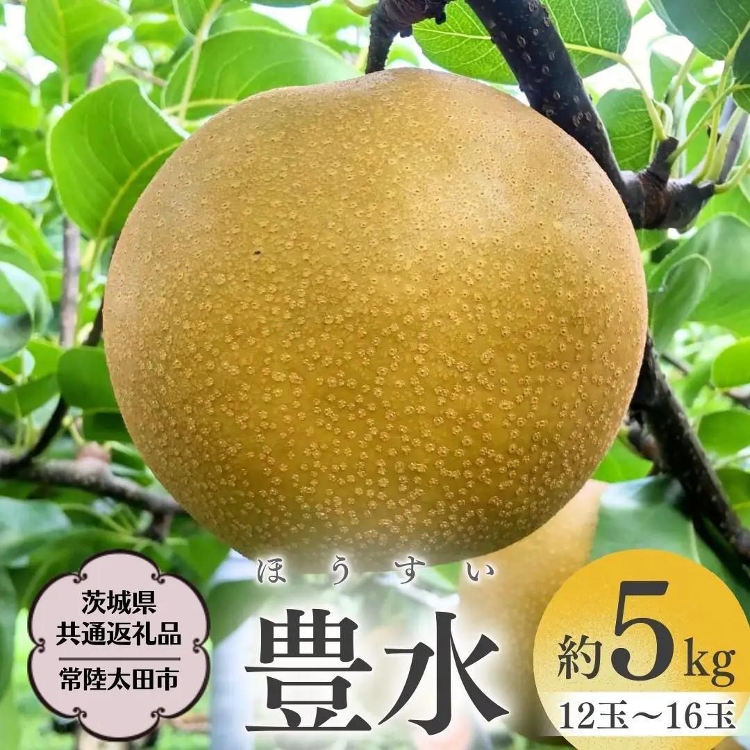 【2026年8月下旬発送開始】 茨城県産 梨 「 豊水 」  約 5kg 12玉 ～ 16玉【茨城県共通返礼品／常陸太田市】  [DU004sa]
