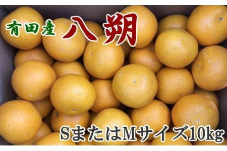 【手選果】有田産の八朔10kg（SまたはMサイズいずれかお届け）＜2025年1月下旬～2月下旬頃に順次発送予定＞【tec845】