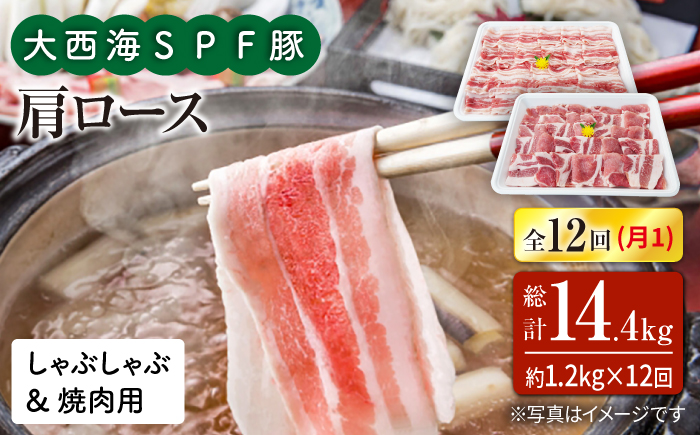【月1回約1.2kg×12回定期便】大西海SPF豚 肩ロース（焼肉＆しゃぶしゃぶ用） 訳あり ＜大西海ファーム＞ [CEK124]