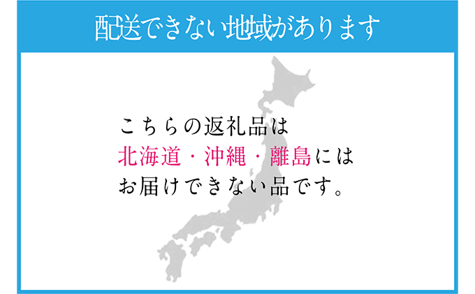 ぶどう 2024年 先行予約 シャイン マスカット 晴王 1房 約600g ブドウ 葡萄  岡山県産 国産 フルーツ 果物 ギフト