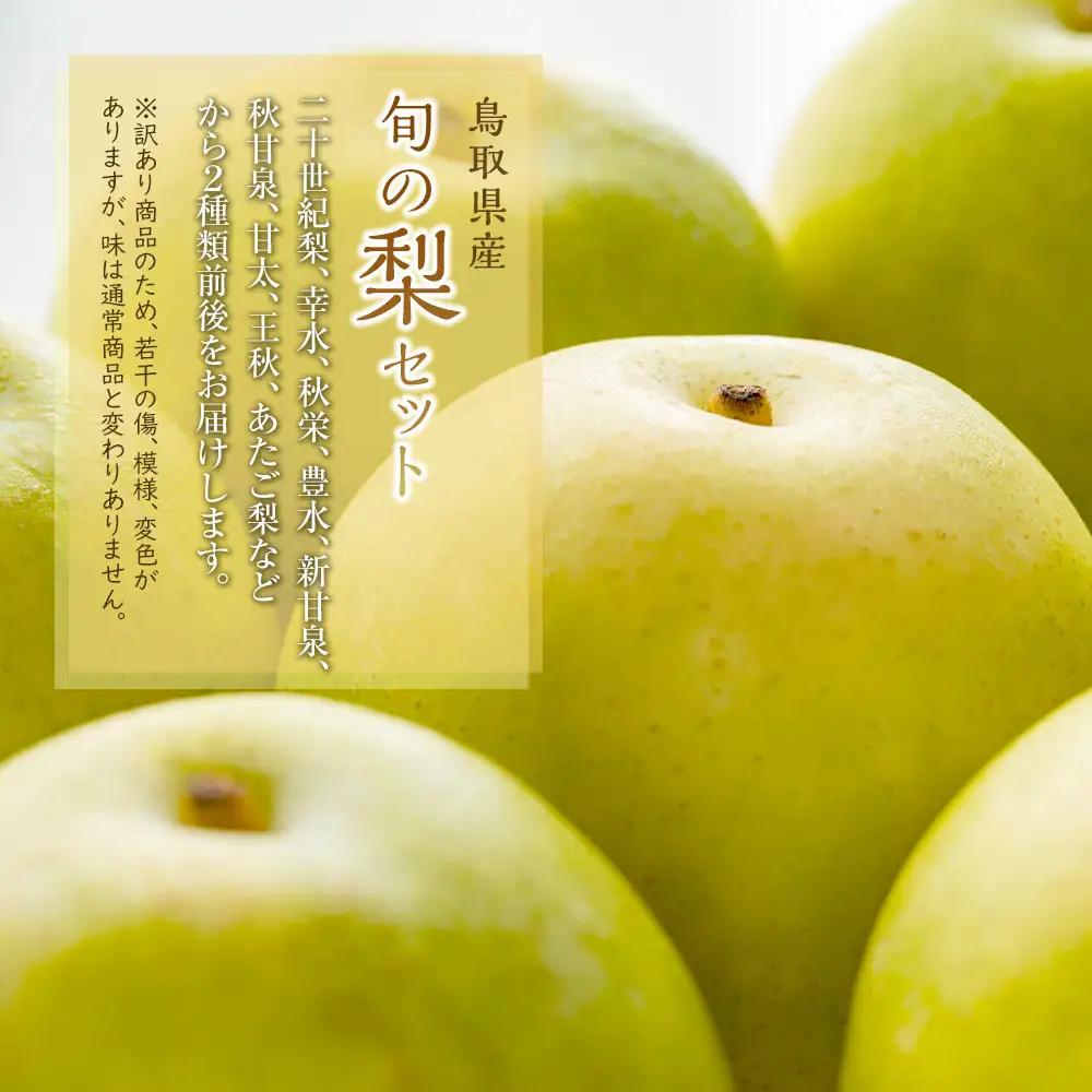 梨 訳あり 鳥取県産旬の梨セット 3kg 食べ比べ