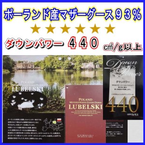 訳アリ 羽毛布団【ポーランド産マザーグース93%】シングル 150×210cm 羽毛掛け布団【ダウンパワー440】