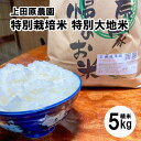 【ふるさと納税】令和6年産 5kg コシヒカリ ヒノヒカリ 特別栽培米 特別大地米 精米 白米 ごはん おにぎり 米作り 熊本県 天草 お取り寄せ 食品 九州 故郷の味 常温 送料無料