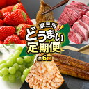 【ふるさと納税】東三河 どうまい 定期便 全6回 いちご / むき えび / うなぎ / シャインマスカット / 味付け肉 / 和牛 牛肉 定期 高評価 お楽しみ ぶどう フルーツ 鰻 苺 むきえび 冷凍 訳あり 海鮮 半年 6回 期間限定 数量限定 定期 6ヵ月 愛知県 豊橋市 送料無料 60000円