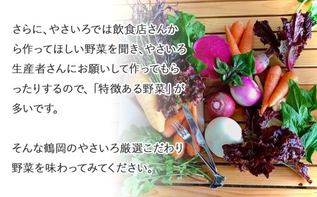 いろどり野菜セット (約8～10種類程度) 3㎏以上 山形県鶴岡産 やさいろ