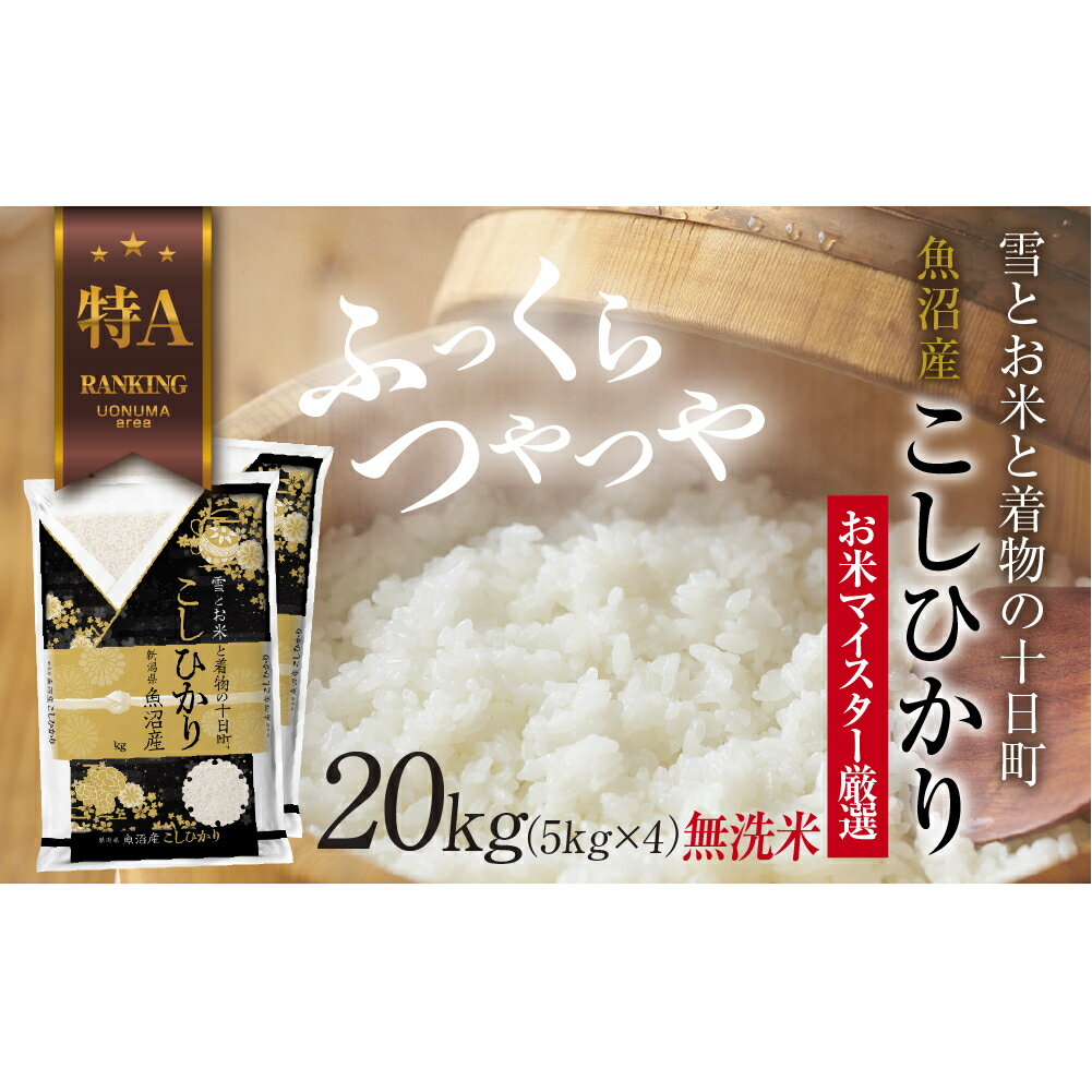 【ふるさと納税】｜無洗米｜ 魚沼産 コシヒカリ 5kg ×4袋 計20kg　お届け：入金確認後、順次発送