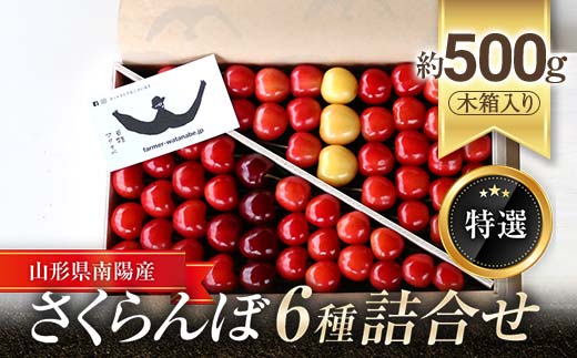 【令和9年産先行予約】 さくらんぼ 6種詰合せ 約500g (特選 木箱入り) 《令和9年6月中旬～発送》 『最上園』 [681]