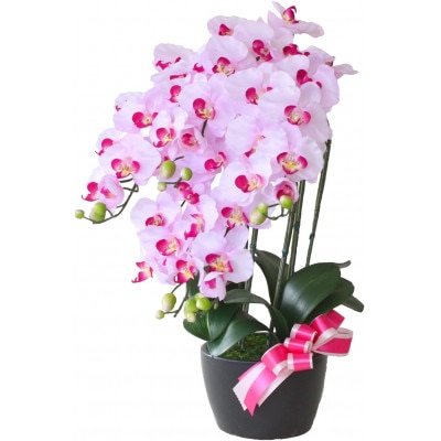 胡蝶蘭 造花 常滑産陶製鉢に入ったシルクフラワーの胡蝶蘭の鉢植 5本立 CT触媒 ライトパープル【1357824】