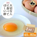 【ふるさと納税】大切な人に食べてほしい卵【選べる容量40個 80個】（冷蔵配送） / 純国産鶏もみじ 田辺市 タマゴ たまご 鶏卵 平飼い お取り寄せ 卵かけごはん 和歌山県