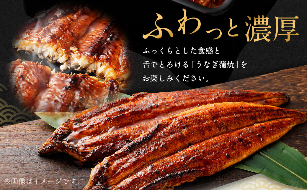 国産うなぎ蒲焼 3尾 と特製タレ3個 セット｜年内発送 年末発送  鰻 ウナギ 蒲焼 うなぎ蒲焼 タレ付 大阪府 阪南市