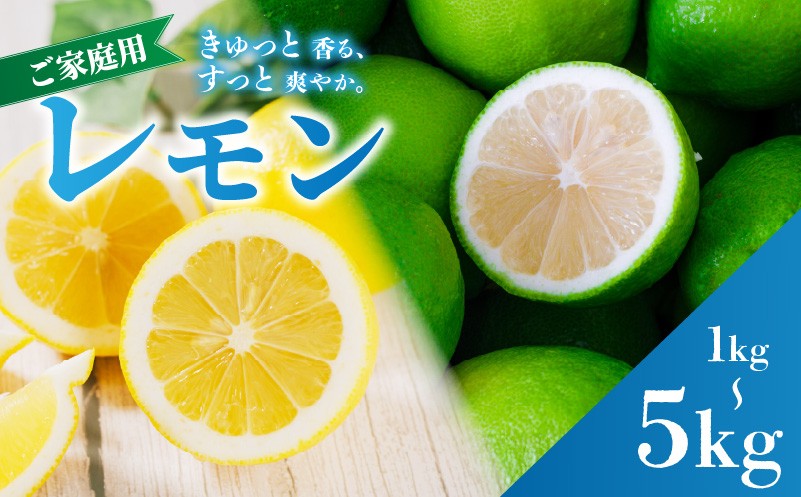 
                  レモン 家庭用 1kg / 2.5kg / 5kg 選べる グリーン/イエロー 【2026年9月下旬頃から順次発送】  |  訳あり lemon れもん 檸檬 完熟 柑橘 レモン 国産 愛媛県産 訳アリ 新鮮 愛媛 松山 国産レモン ノーワックス ワケアリレモン 愛媛県 松山市 瀬戸内 農家直送 レモン 不揃いレモン 蓮果園
                